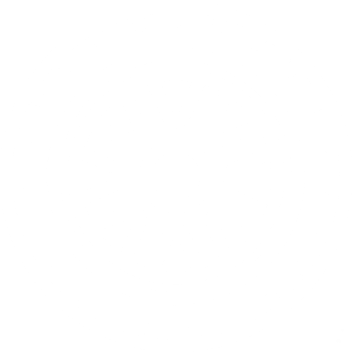 professional auto detailing Texas