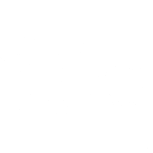 mobile auto detailing