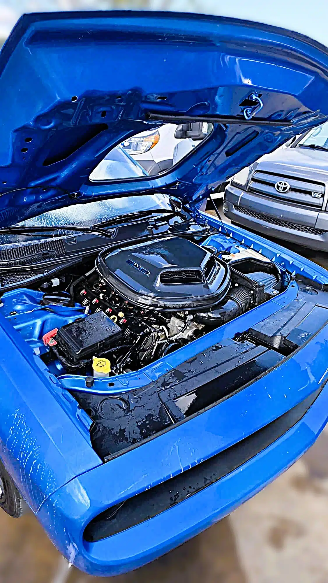 detailing, limpieza profunda, restauración exterior, interior, corrección de pintura y protección cerámica.