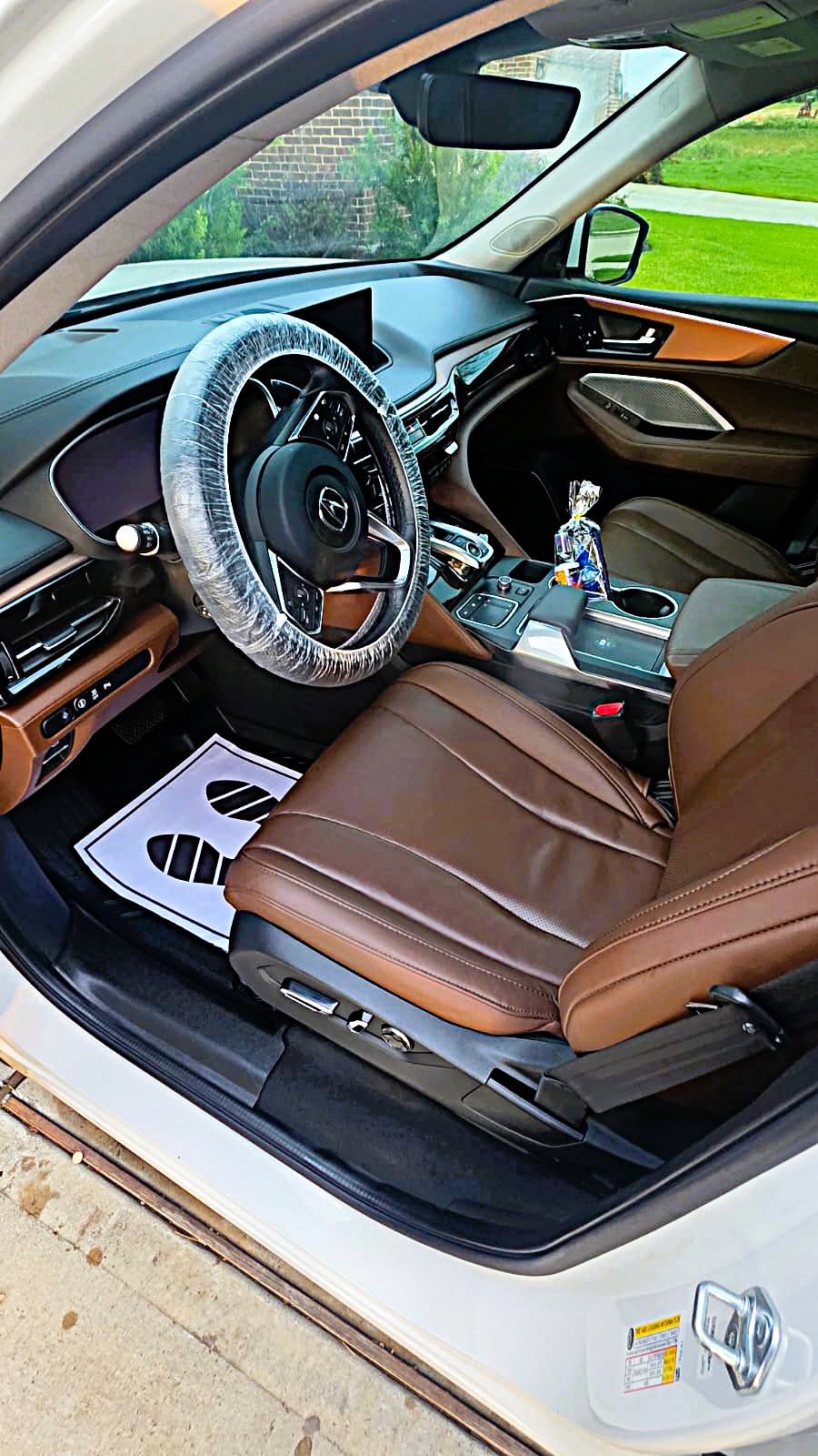 mobile car detailing